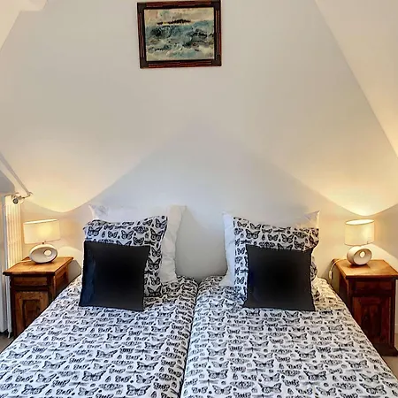Superbe Maison Avec Jardin, Proche Plage, Chiens Admis - Fr-1-542-25 Trebeurden