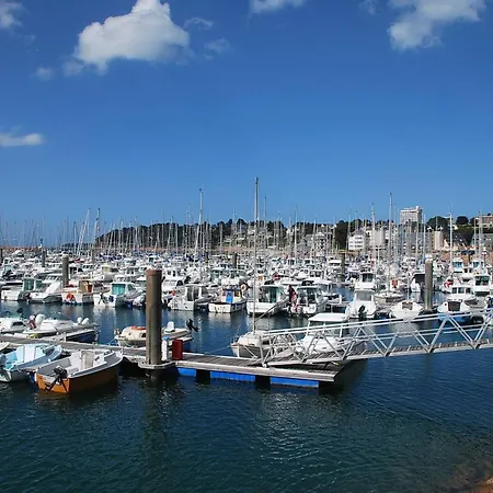 Superbe Maison Avec Jardin, Proche Plage, Chiens Admis - Fr-1-542-25 * Trebeurden